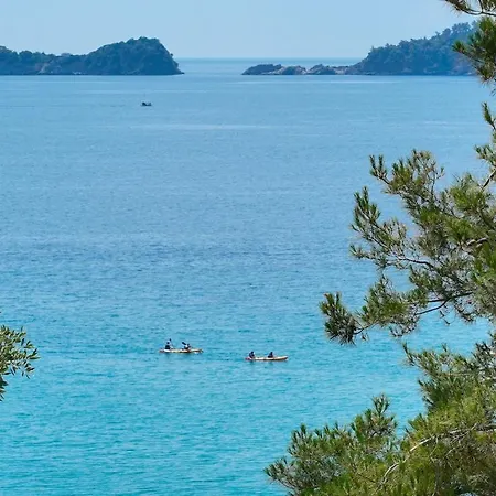 Marion 크리시 아모우디아