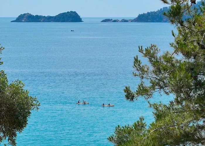 Marion Chrysi Ammoudia